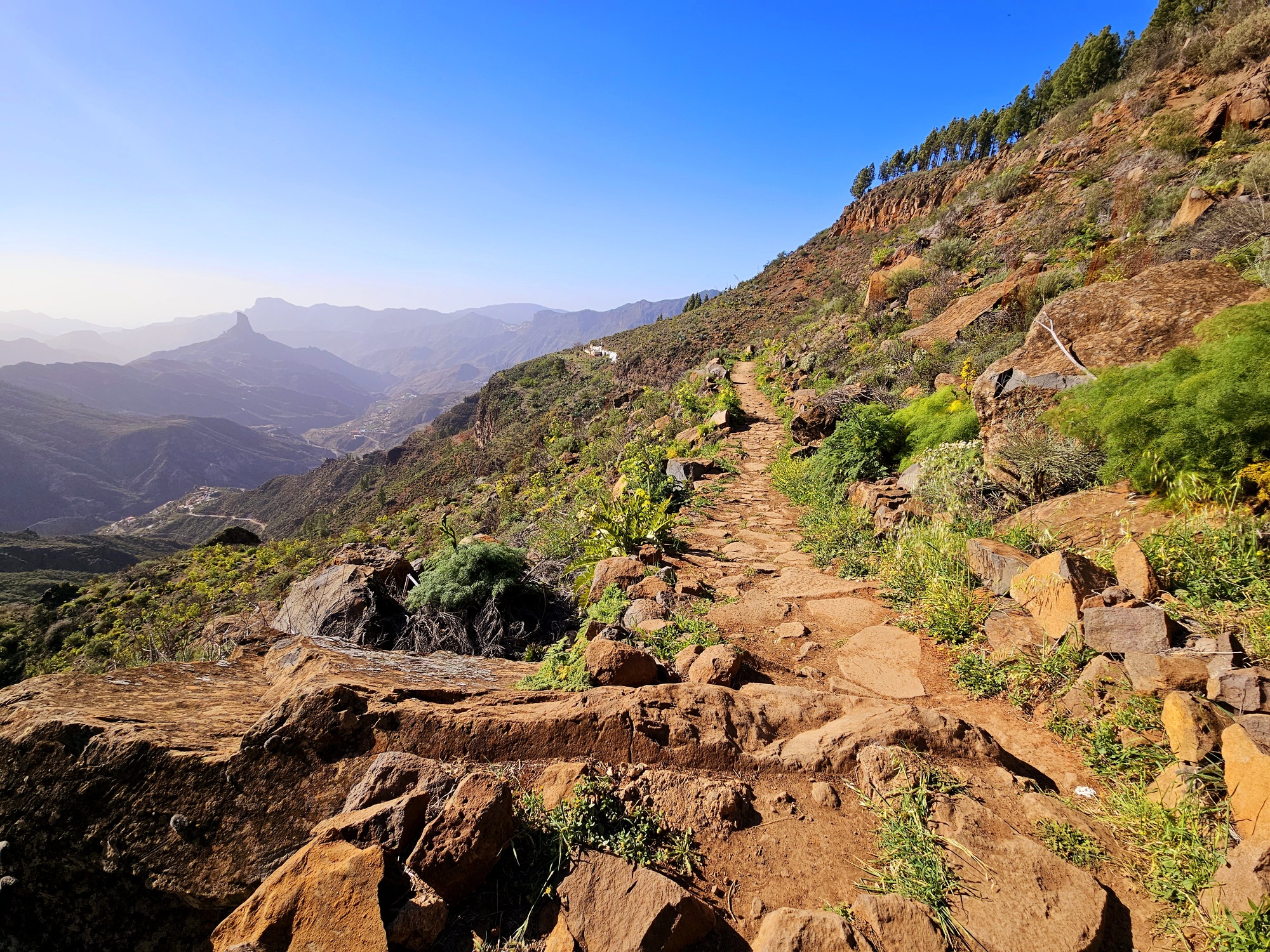 SentieroCamminoGranCanaria SentieroCamminoGranCanaria